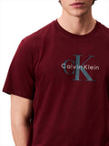 CK J U PRE T-shirt hero monologo BORDEAUX