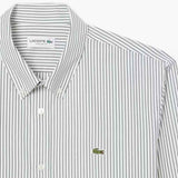 LACOSTE U Camicia regular fit a righe Pinpoint B.CO/VERDE