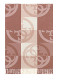 GUESS ACC D COL Sciarpa logata 52 x 190 cm CANNELLA