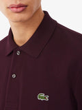 LACOSTE U Polo manica lunga marrone
