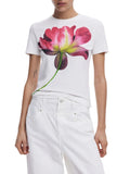 DESIGUAL T-shirt Plata bianco